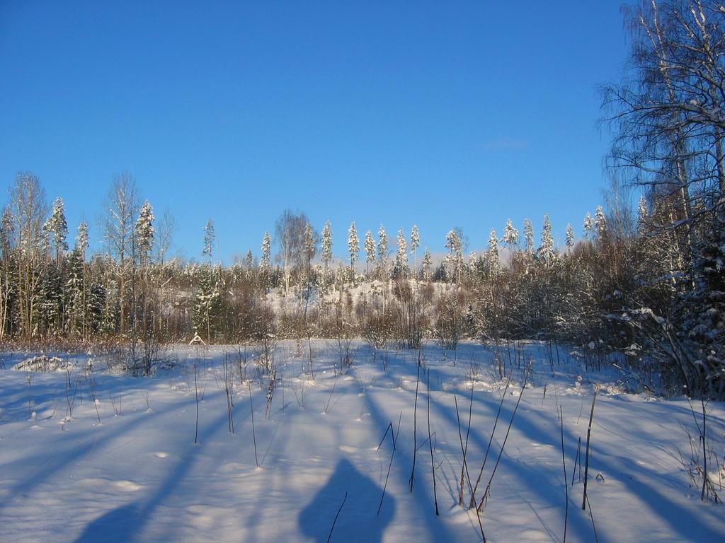 Ruhmaslehto Villa Siikava Exteriör bild